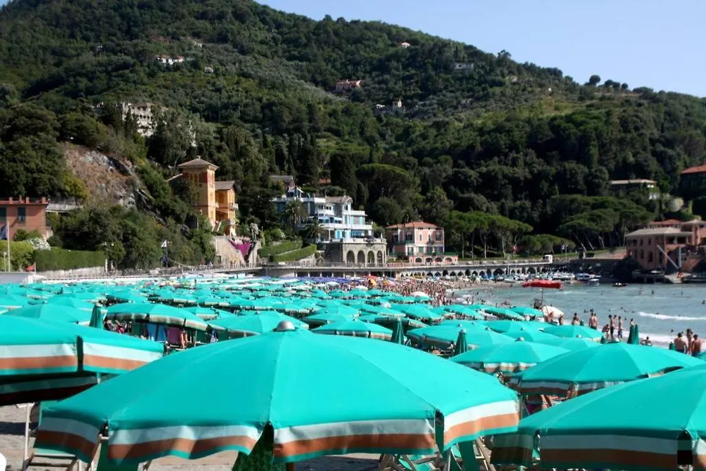 Le Case Della Lizza - Casa Verde contacts
